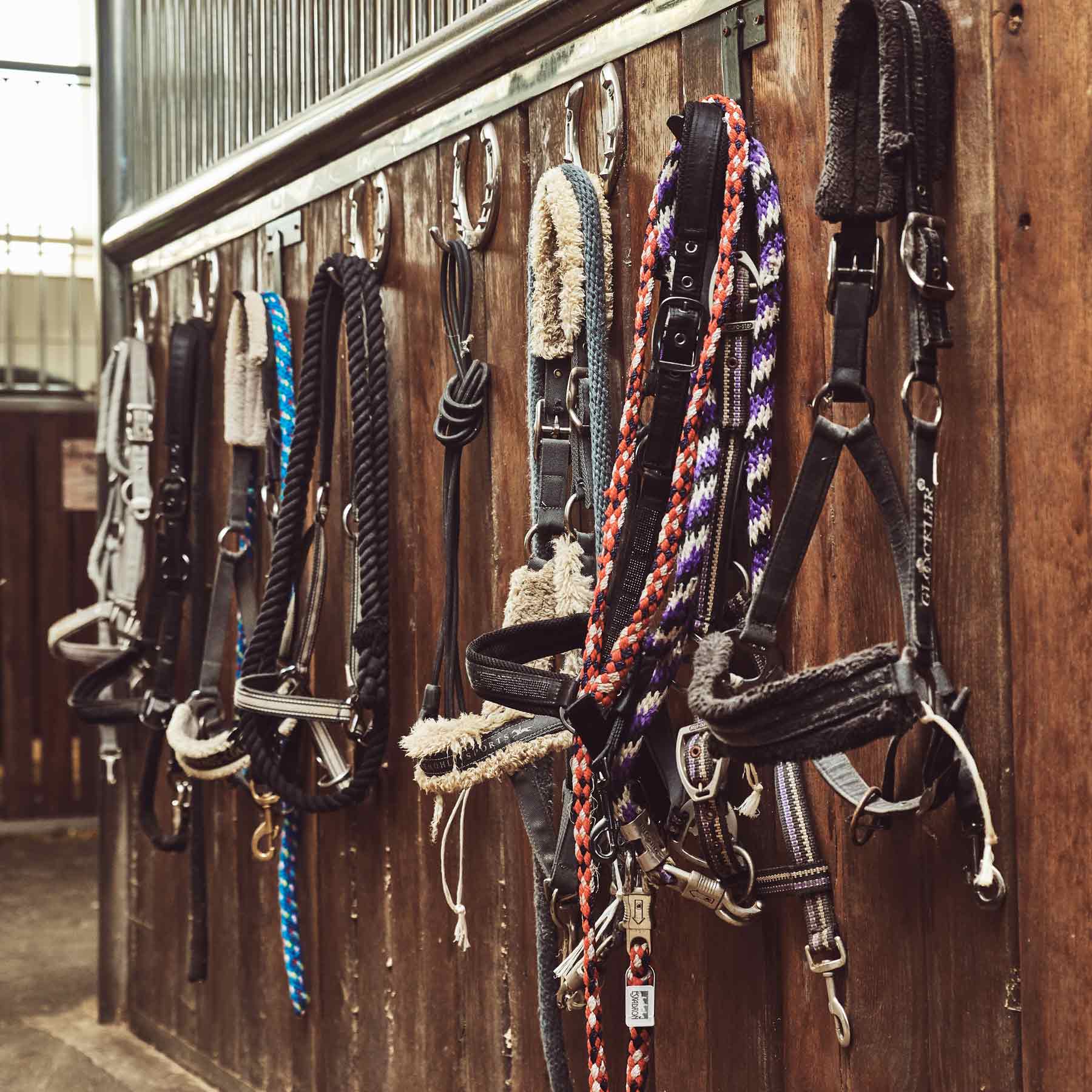 BUY Horse Gear and Tack Animalcare Supplies
