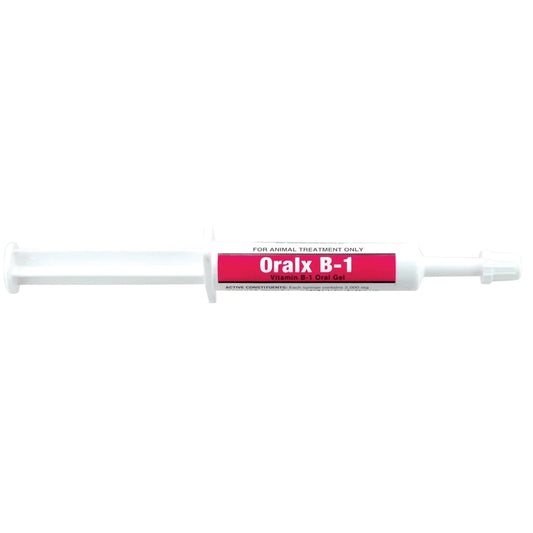Oralx B1 Paste 6ml