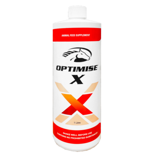 Optimise X Randlab
