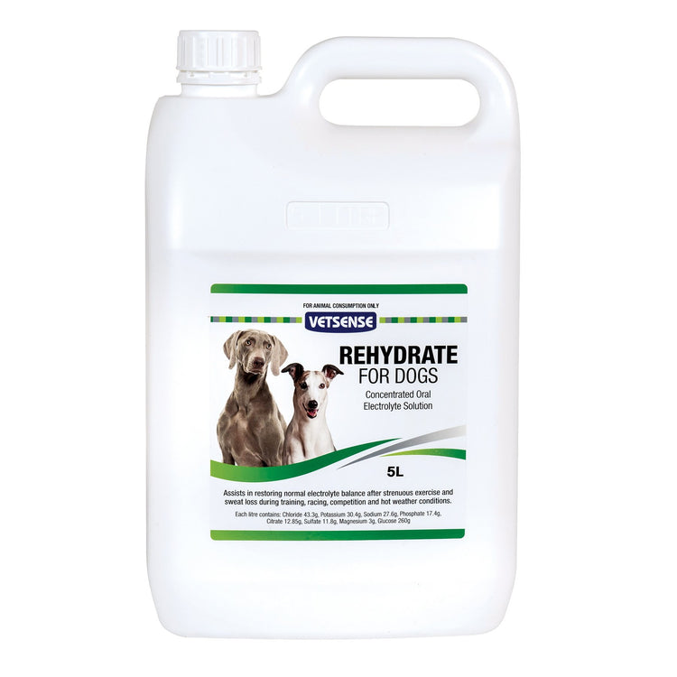 Vetsense Rehydrate for Greyhounds 5L