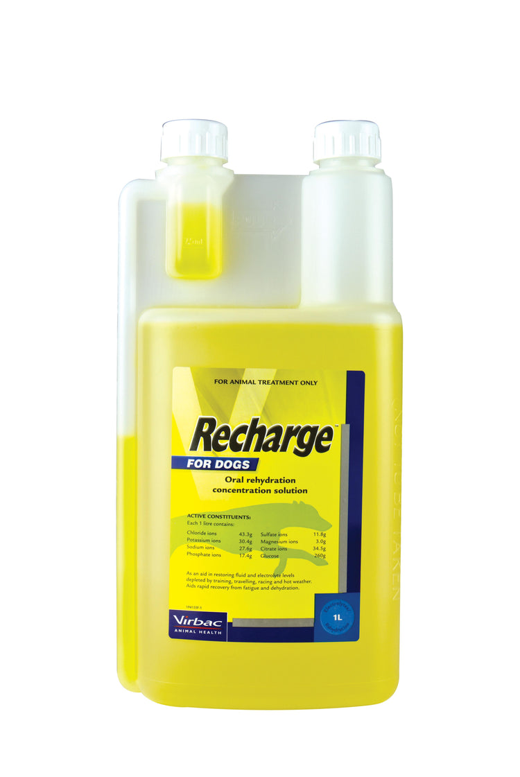 Recharge Greyhound 1L (Virbac)