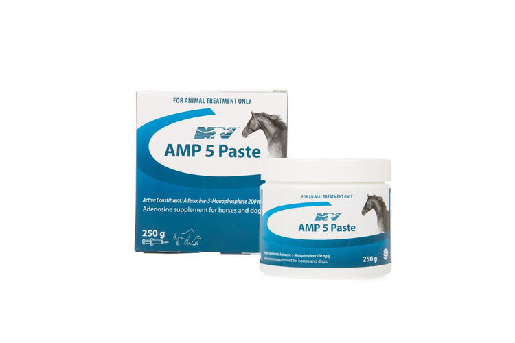 Ceva AMP-5 Paste for horses 250g