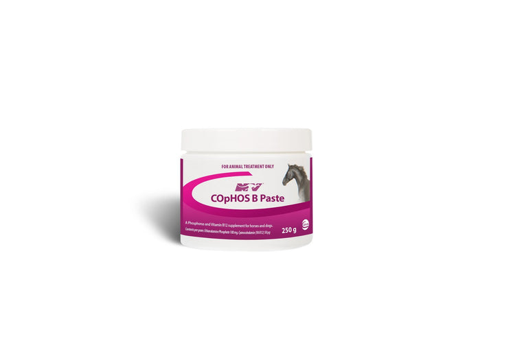 Ceva CopHos B Paste 250g