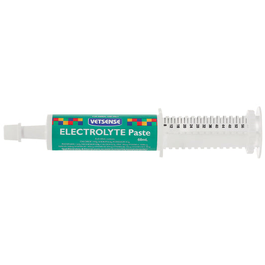 Electrolyte Paste 60ml (Vetsense)