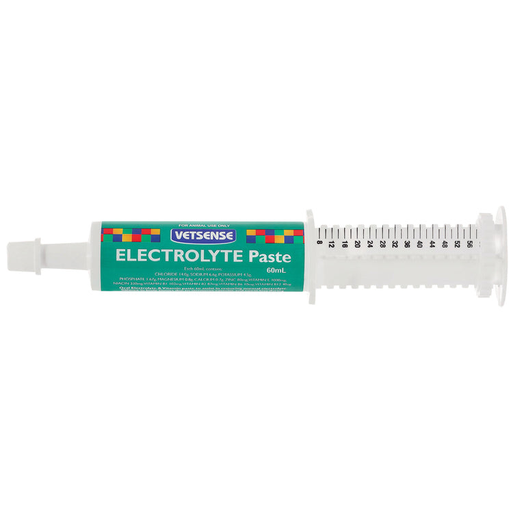 Electrolyte Paste 60ml (Vetsense)