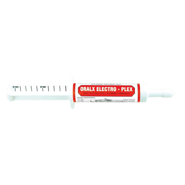 Oralx B Complex Paste 34g