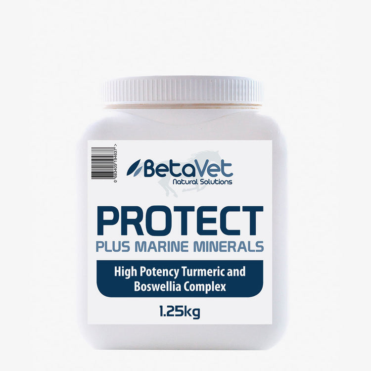 Betvet Protect