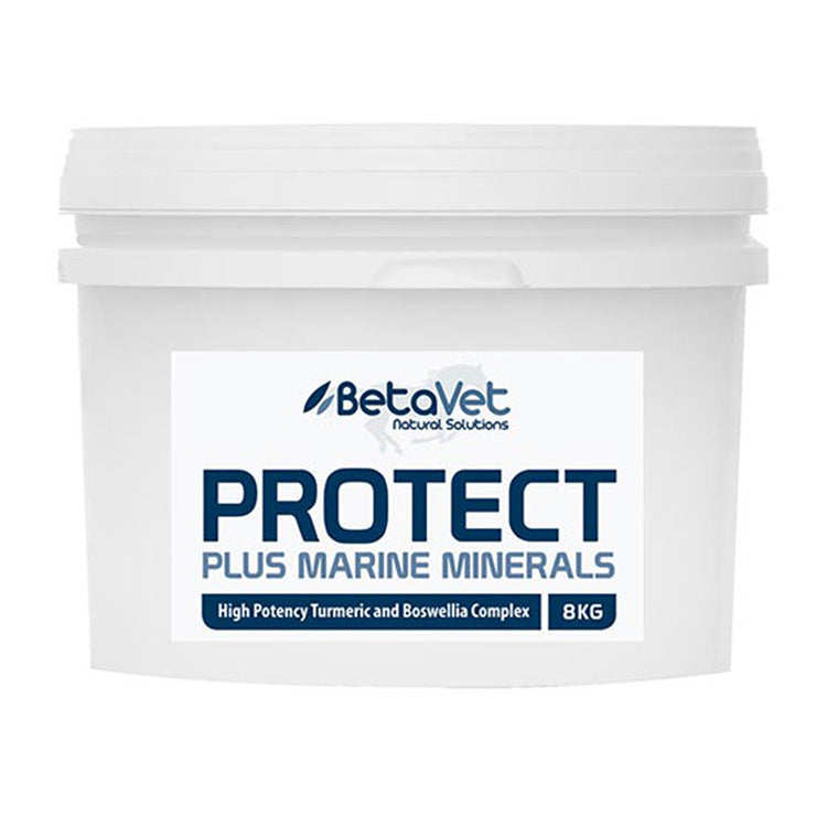 Protect 8kg (BetaVet)