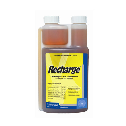Virbac Recharge Horse - Animalcare Supplies