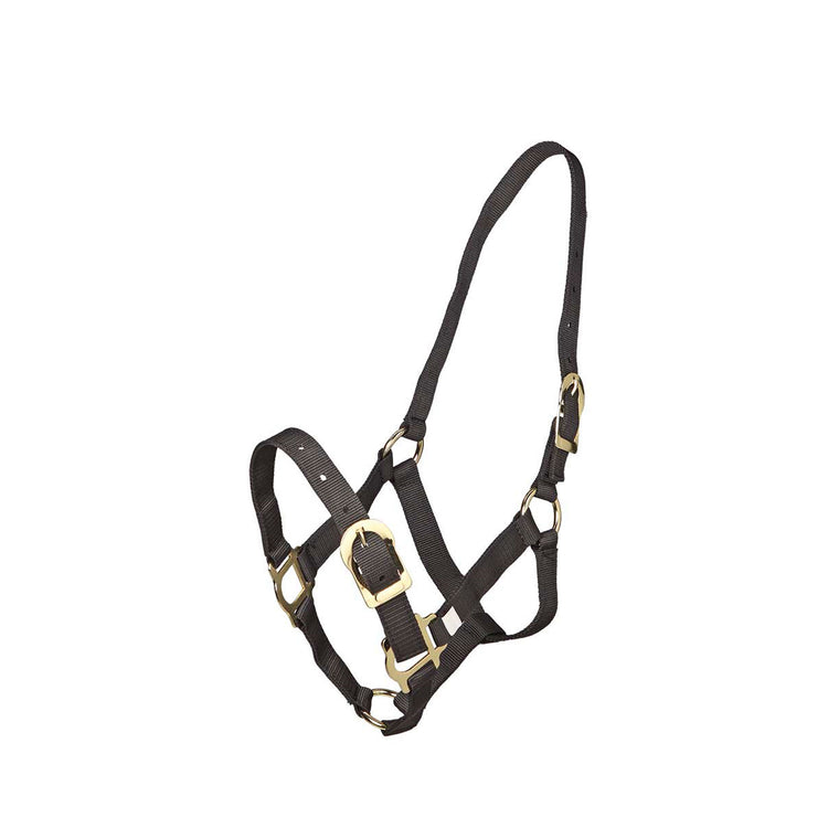 Zilco PP Halter Full Size Black