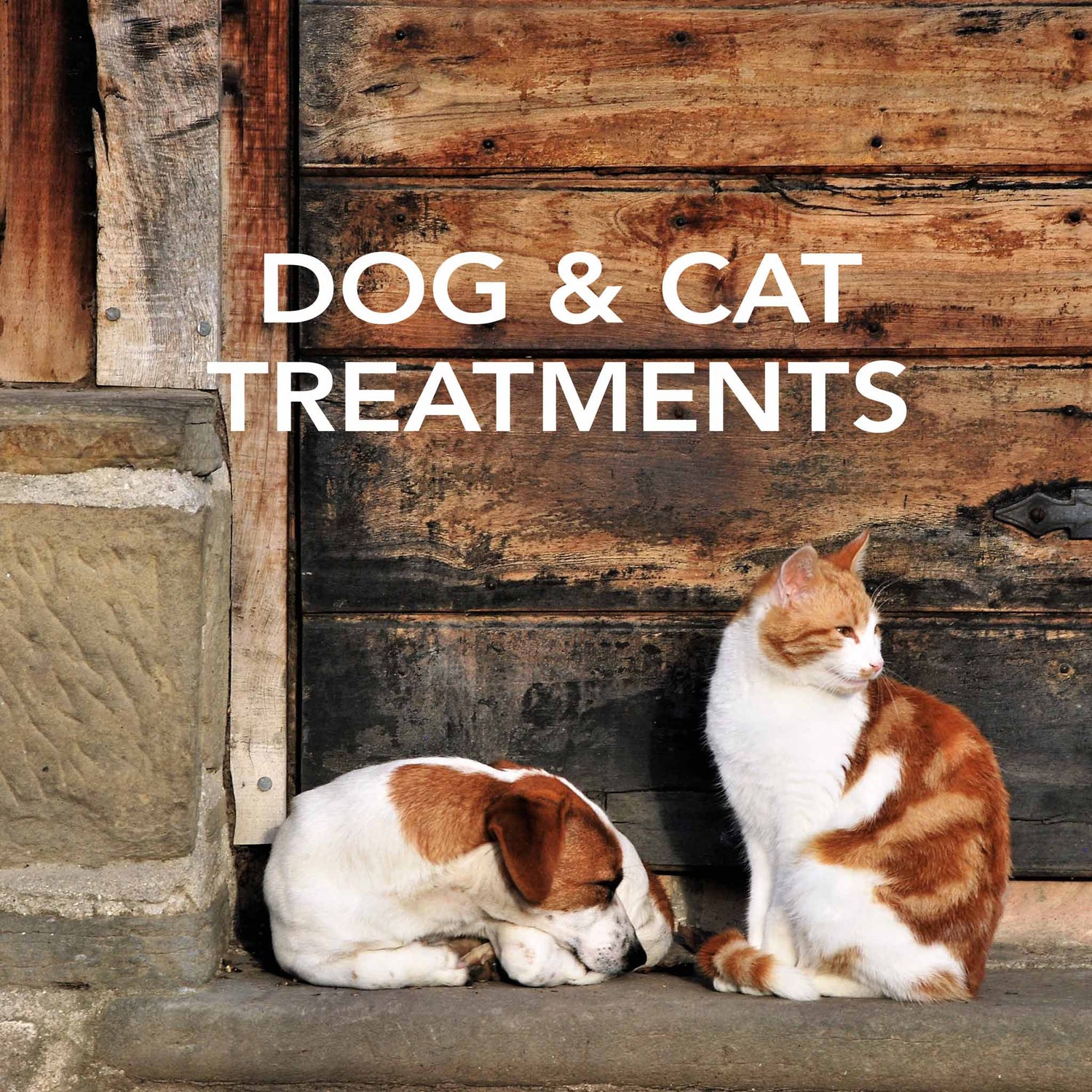 Pet Supplies