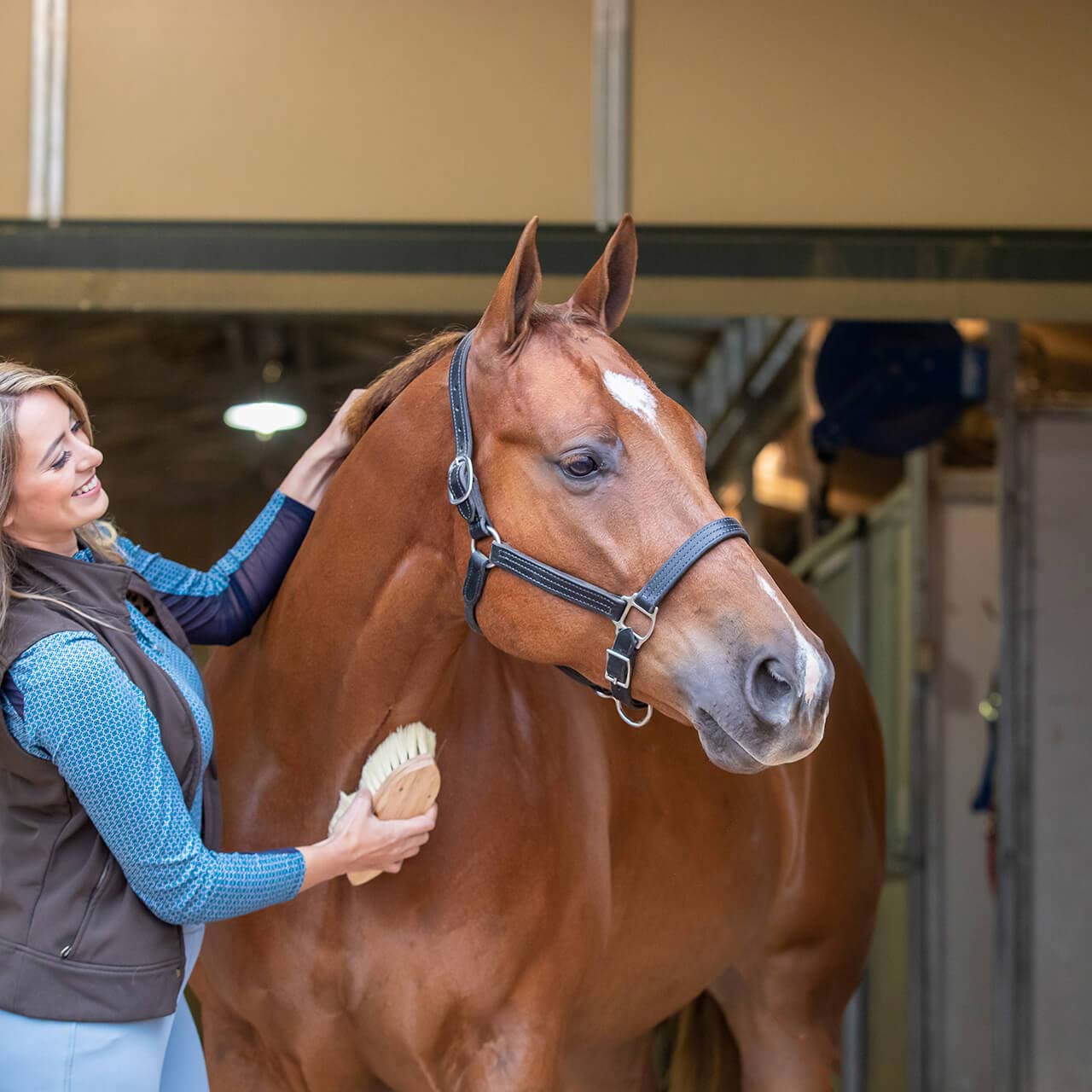 Horse Grooming Supplies