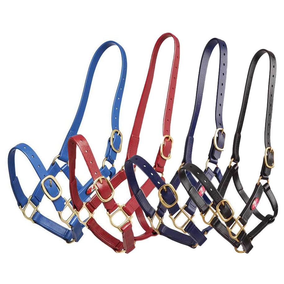 Halters & Leads