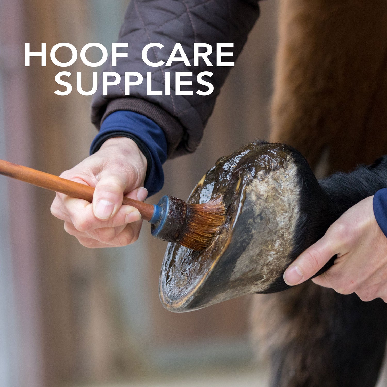 Hoof Oil & Grease