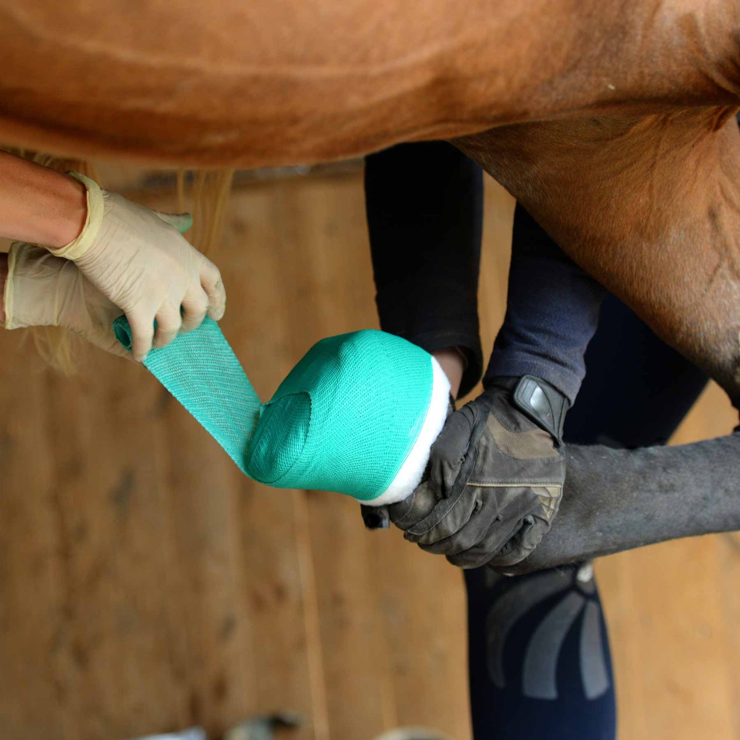 Horse First Aid & Vet Supplies
