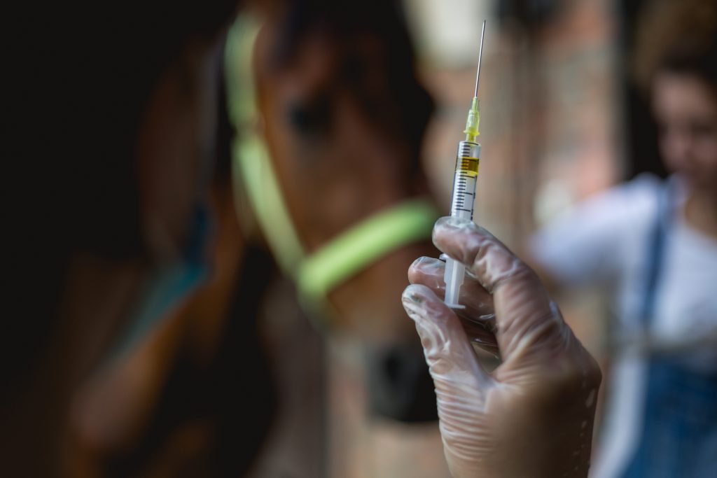 Injectable Vitamins for Horses