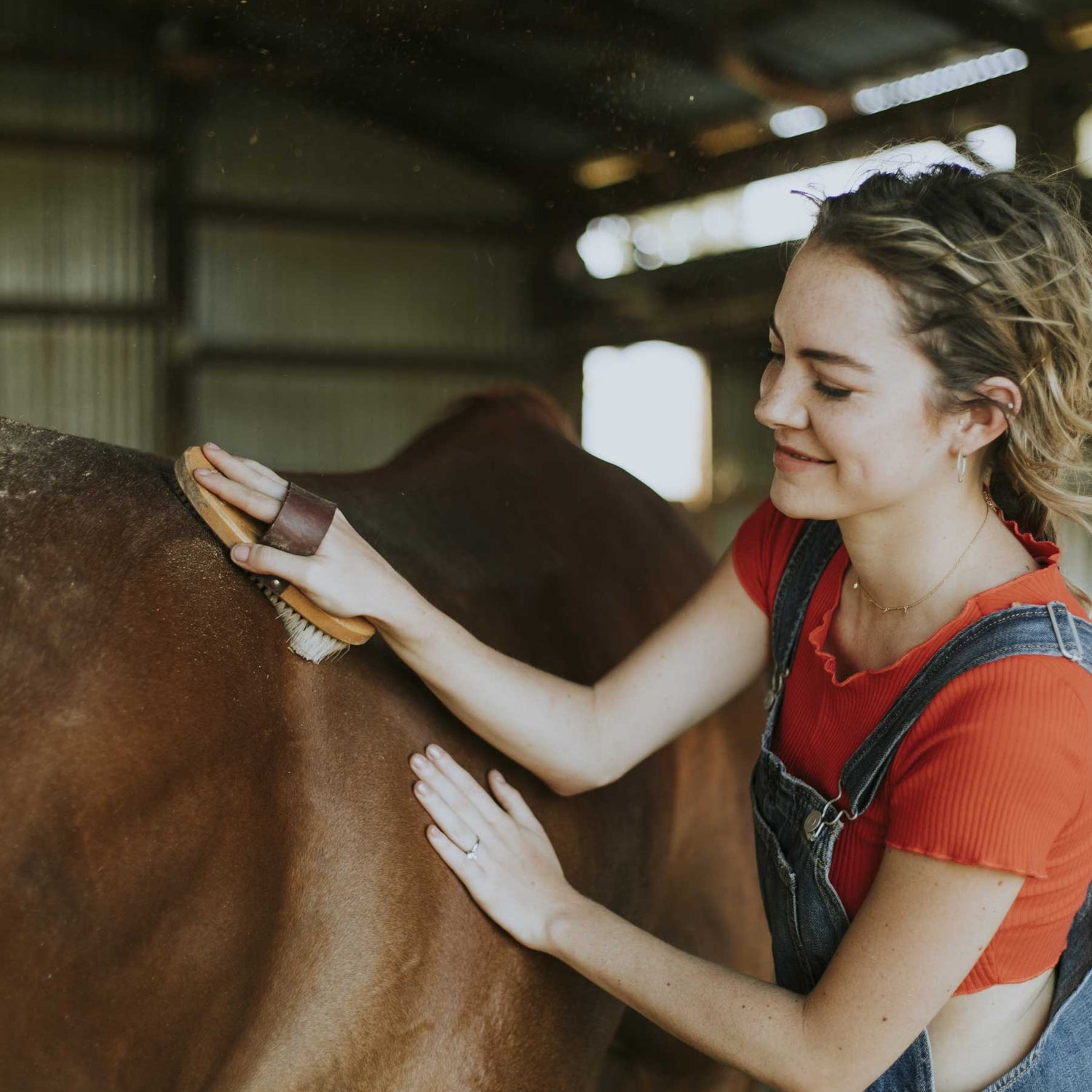 Stable & Grooming Supplies for horses