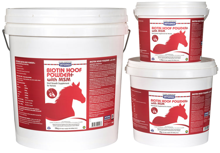 Vetsense Biotin Hoof Powder +