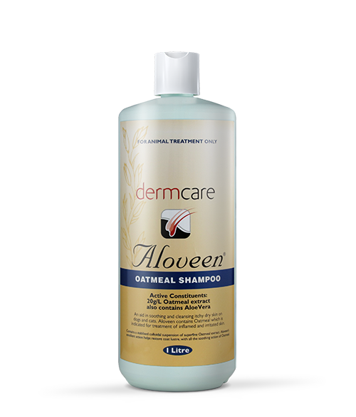 Aloveen Shampoo