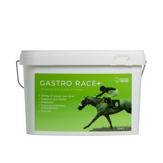 Gastro Race+