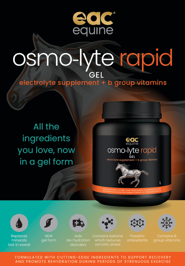 Osmo-lyte Rapid Gel - Electrolyte Paste + B Group Vitamins