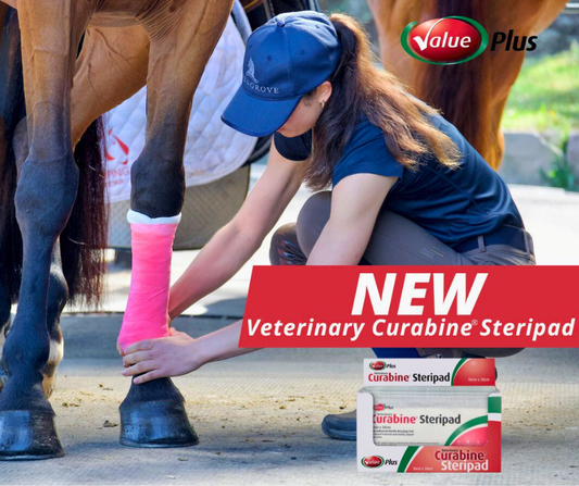 Value Plus Veterinary Curabine Steripad