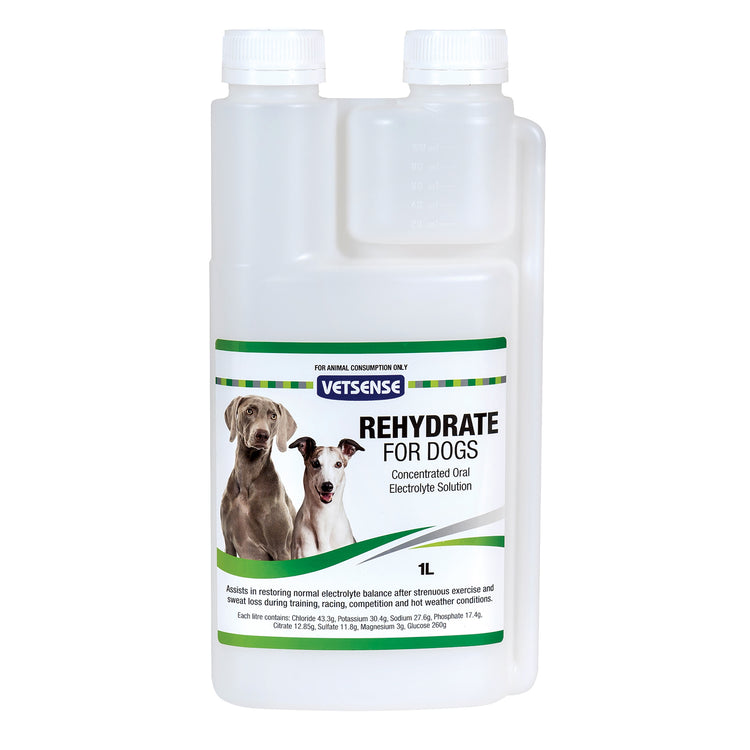 Rehydrate- Greyhound 1L (Vetsense)
