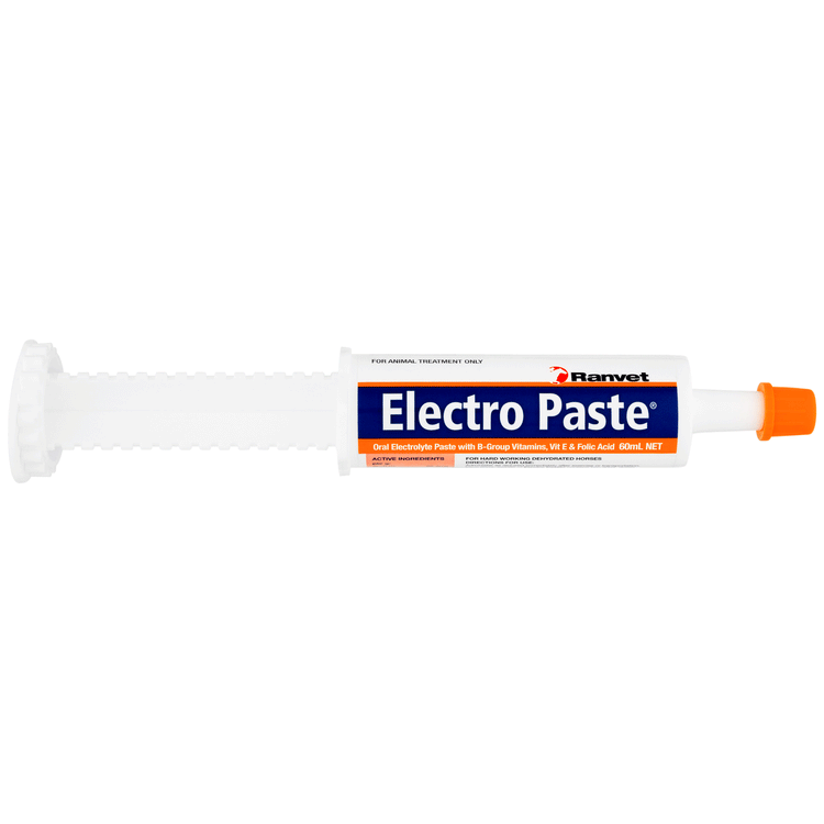 Electro Paste 60ml (Ranvet)