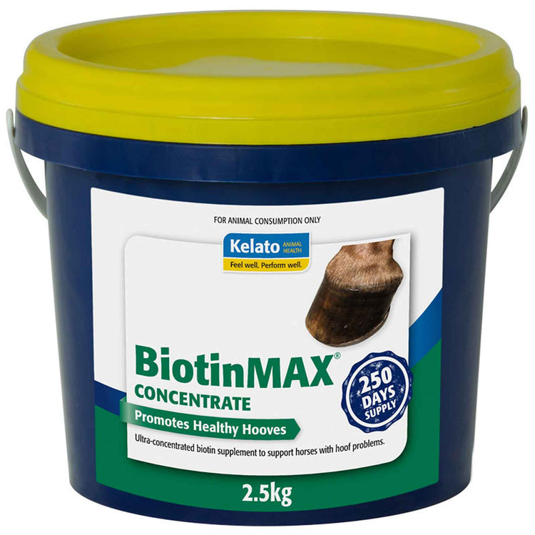 BiotinMAX Concentrate (Kelato)