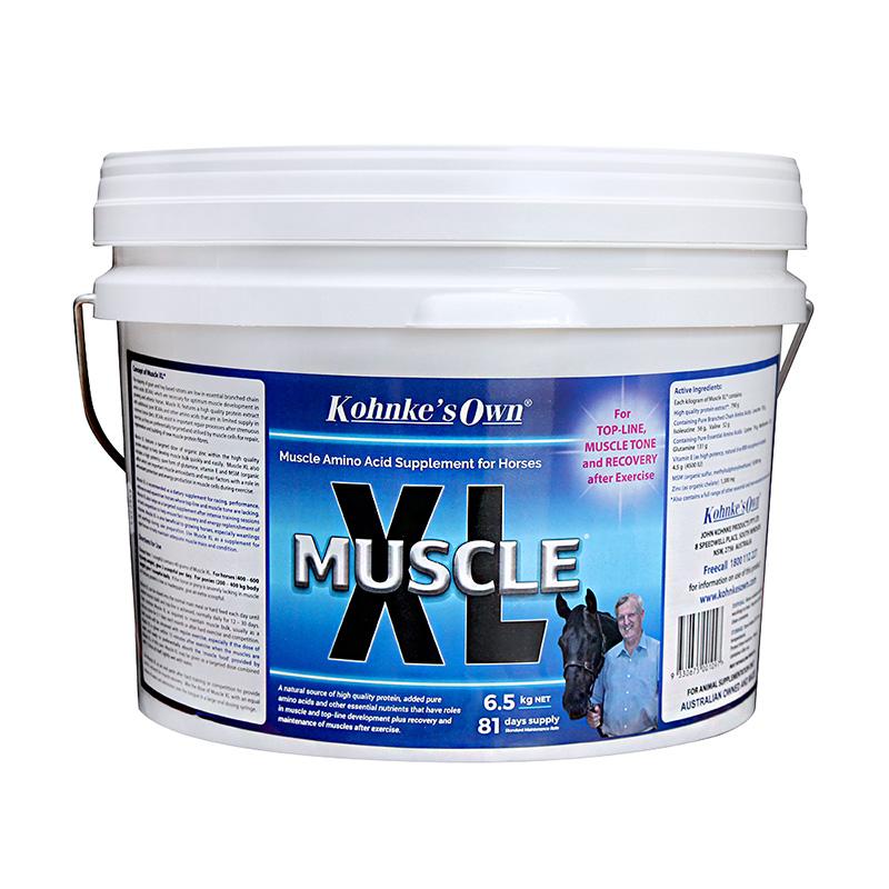 Kohnke's Own Muscle XL - Animalcare Supplies