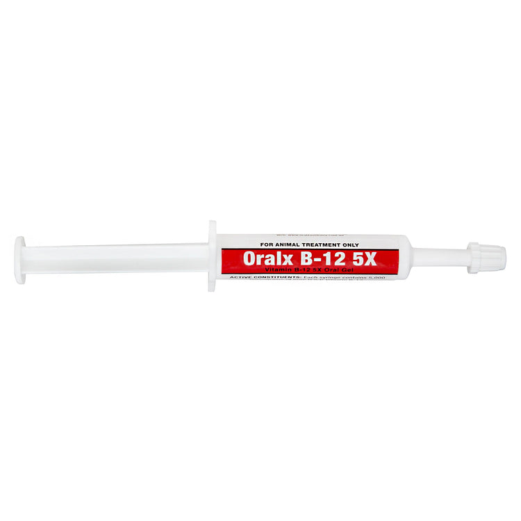 Oralx B12 Paste 6ml - Animalcare Supplies