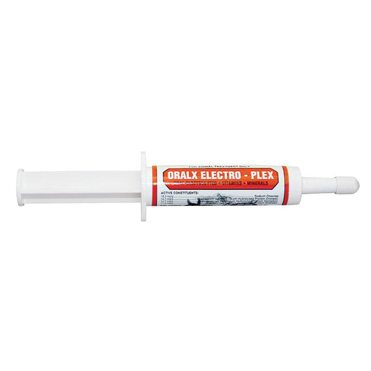 Oralx Electroplex Paste 34g