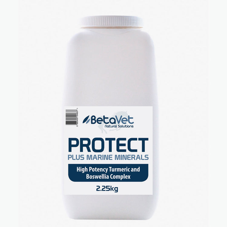 Betvet Protect